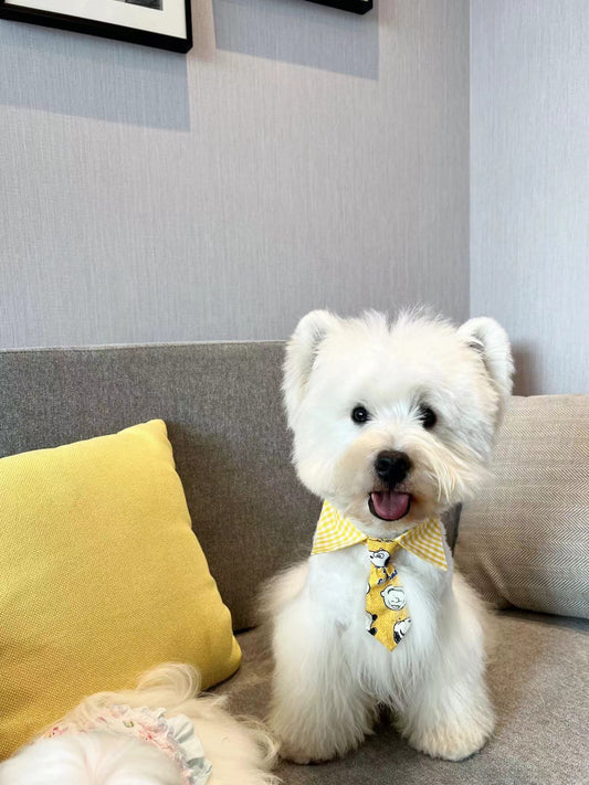 Cartoon Bowtie Collar 卡通小領帶