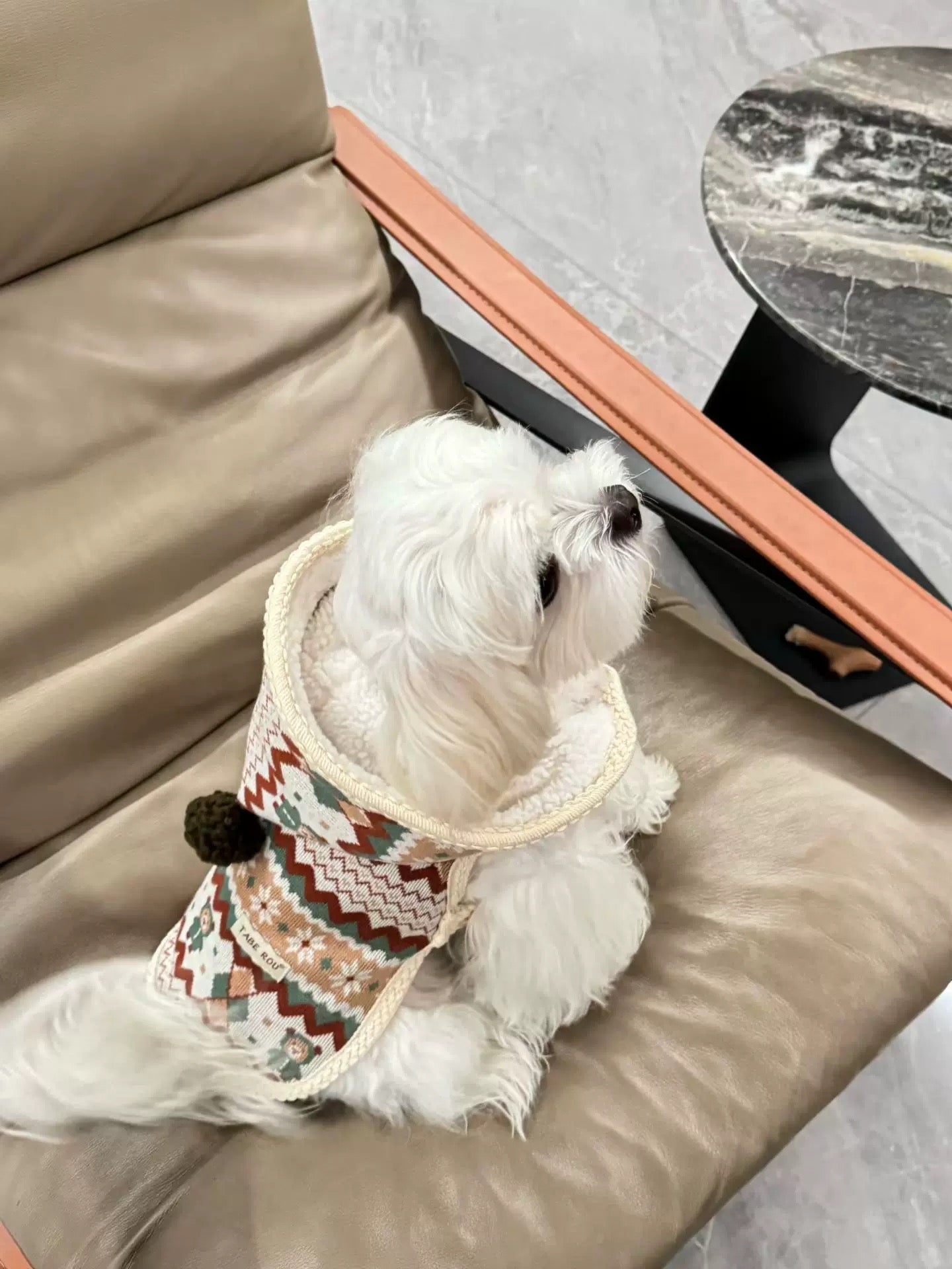 Christmas Cloak 聖誕斗篷