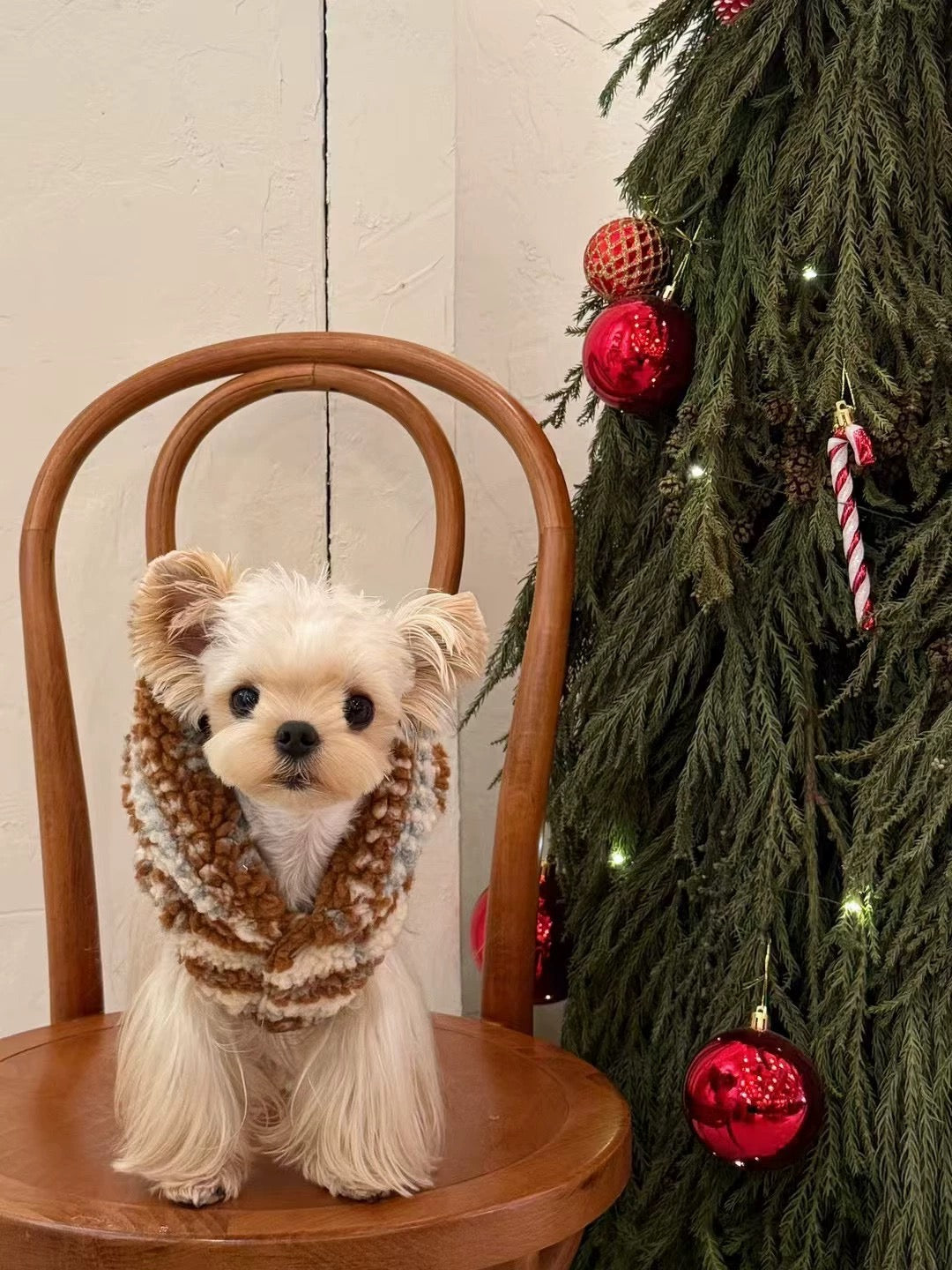 Striped Christmas Hoodie 條紋毛帽斗篷