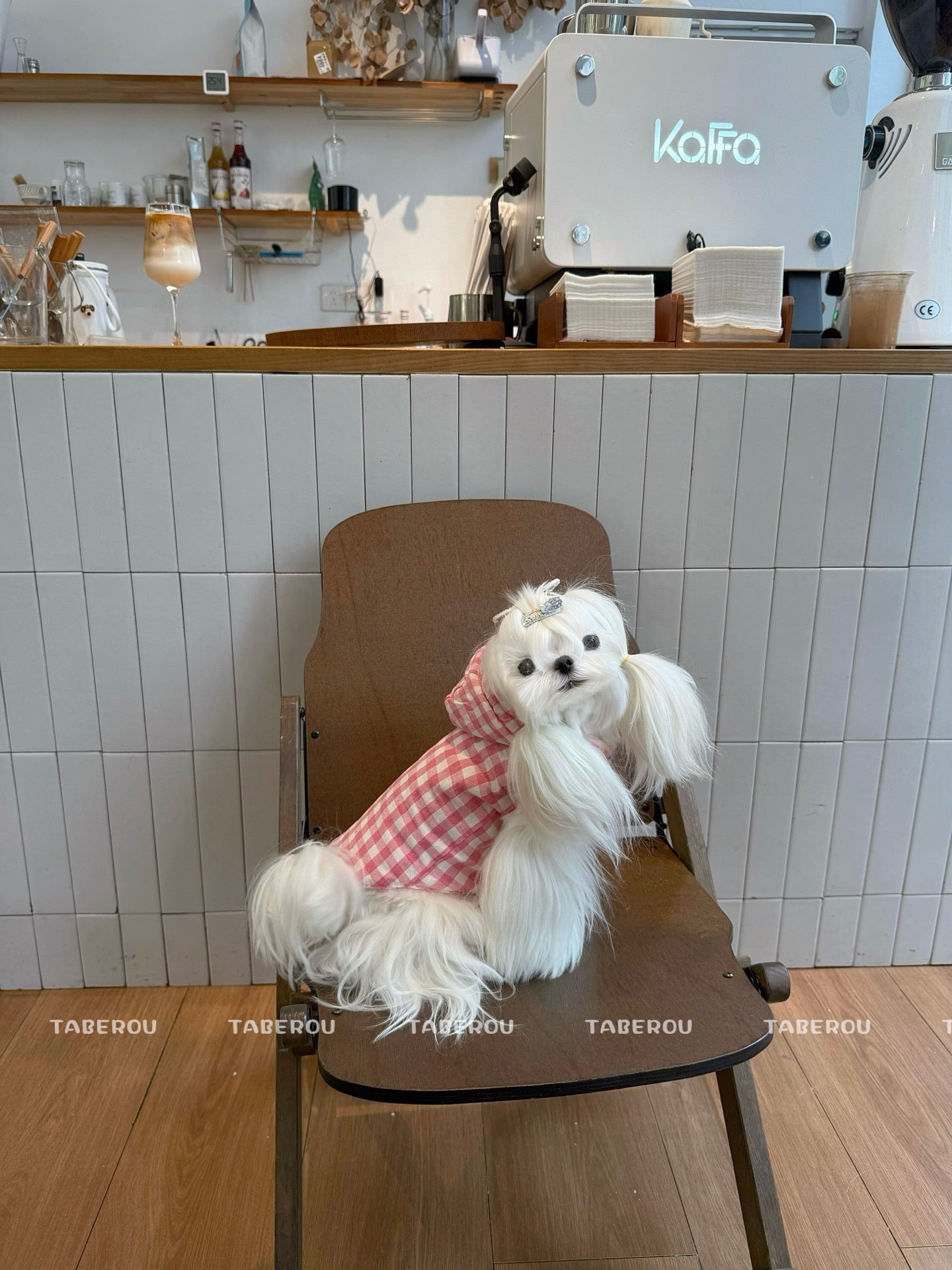 Cloud Puffer Vest 雲朵羽絨背心