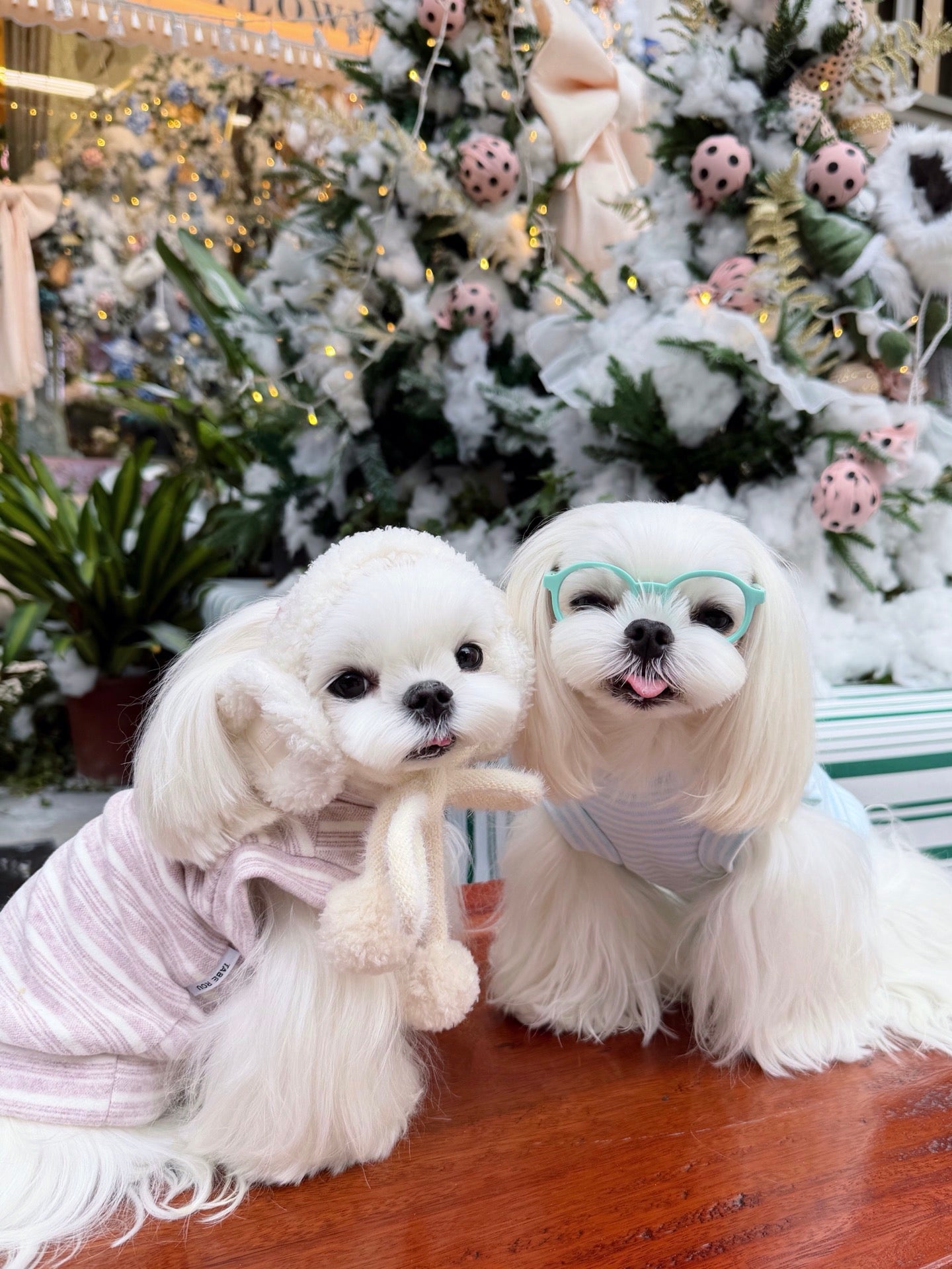 Striped Elephant Turtleneck Tee 條紋小象高領打底衫