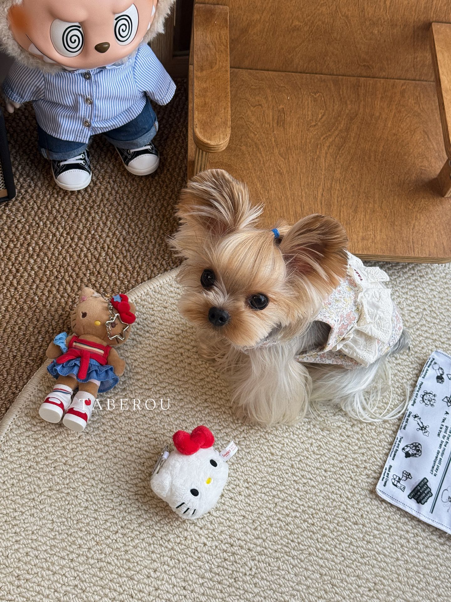 Floral Lace Ruffle Dress 碎花蕾絲蓬蓬裙
