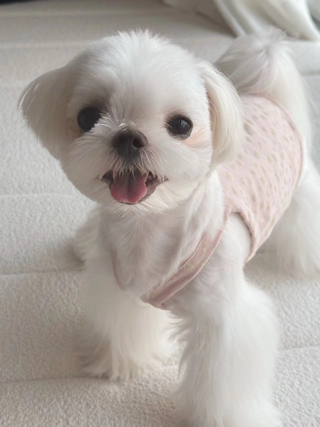 Floral Button Tank 小碎花鈕扣背心