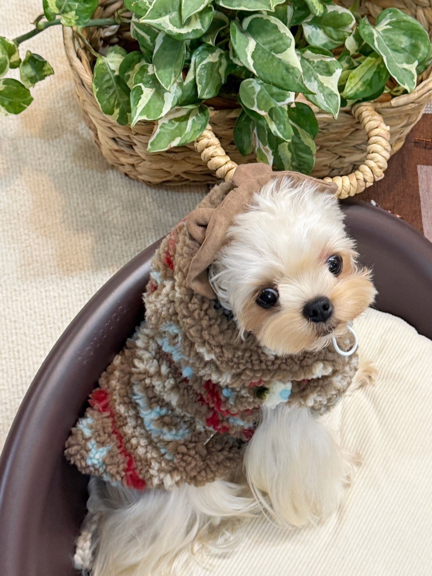 Ginger Cottage Fleece 薑餅小屋絨背心