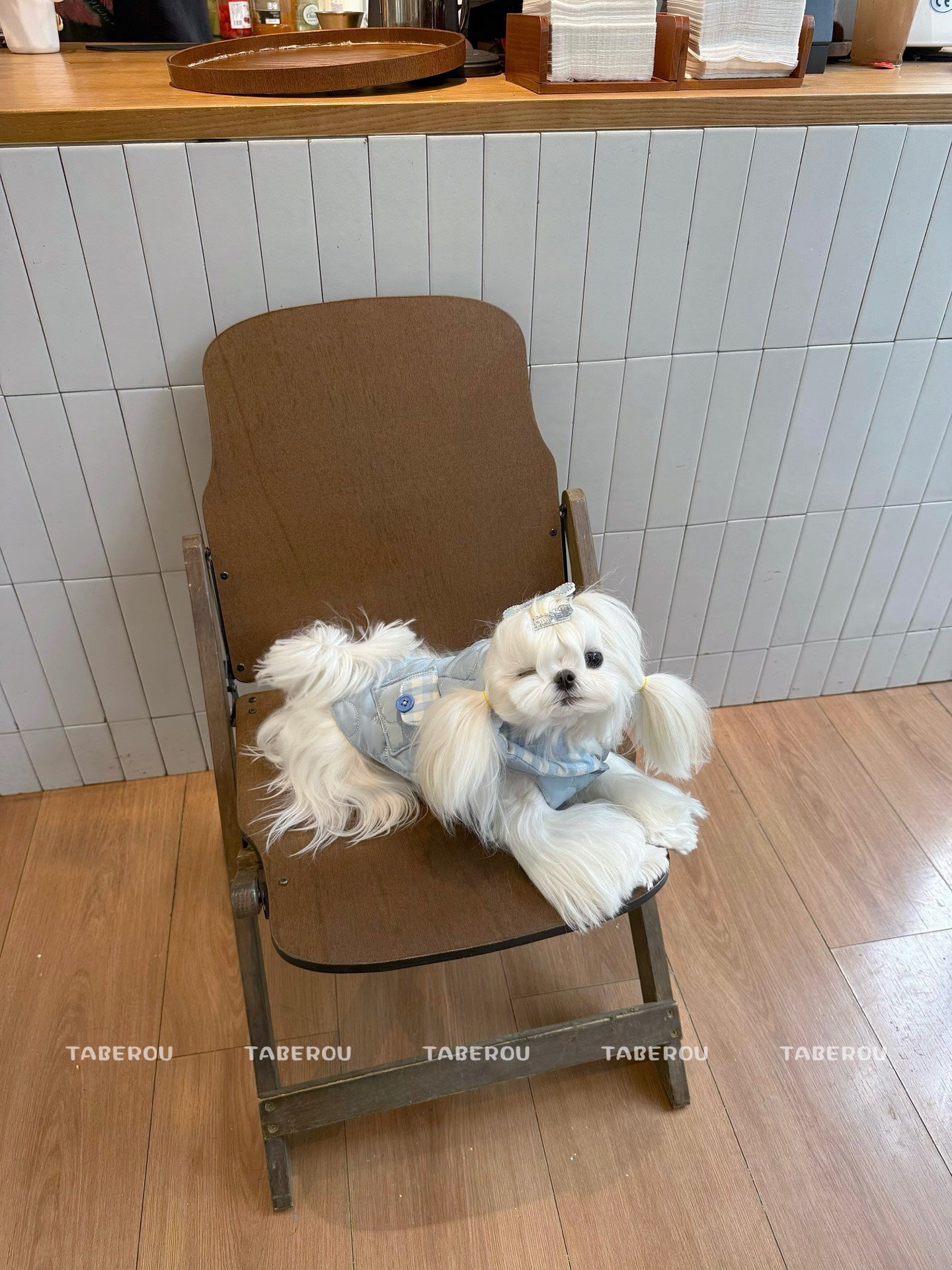 Cloud Puffer Vest 雲朵羽絨背心