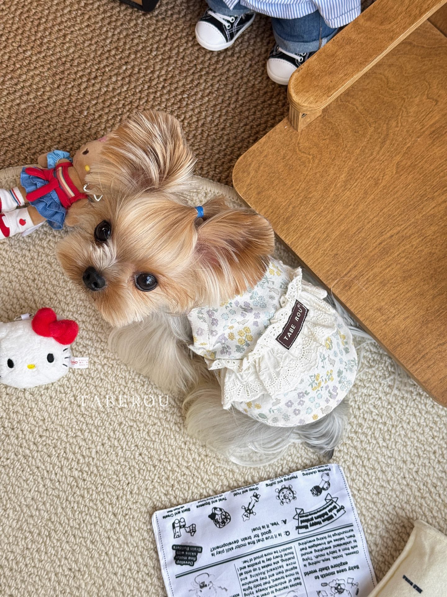 Floral Lace Ruffle Dress 碎花蕾絲蓬蓬裙