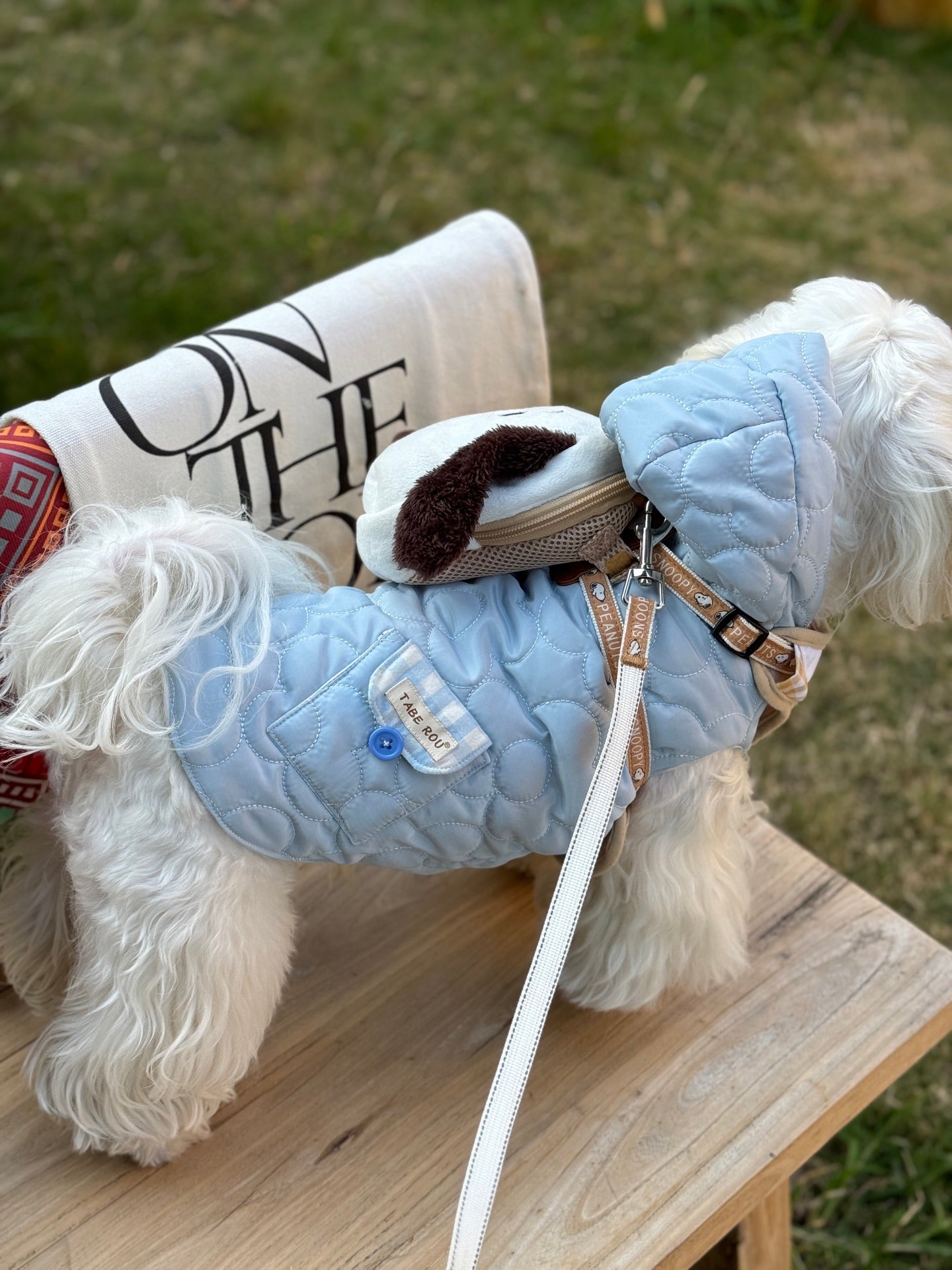 Cloud Puffer Vest 雲朵羽絨背心