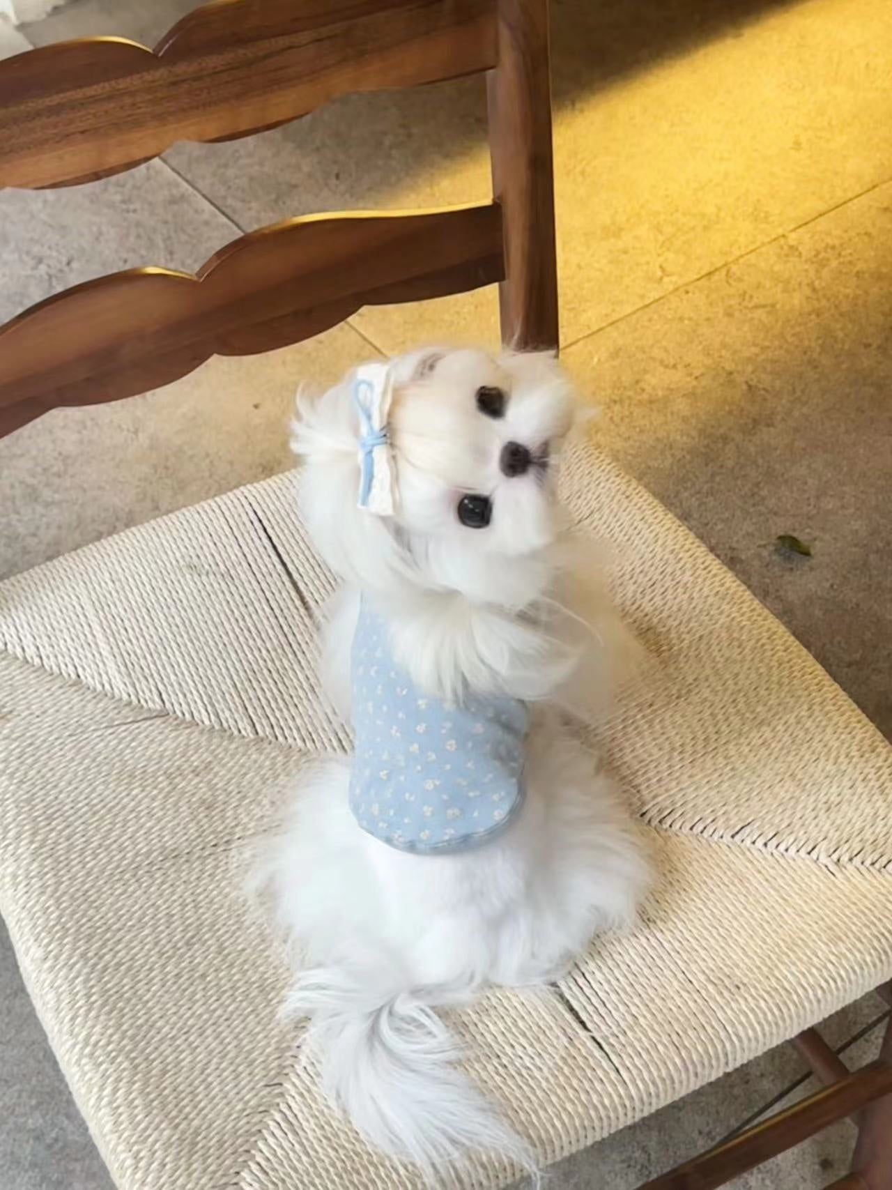 Floral Button Tank 小碎花鈕扣背心