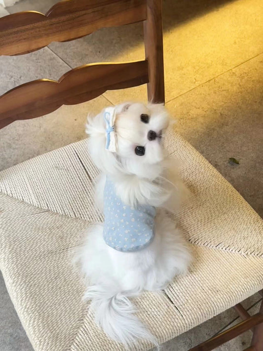 Floral Button Tank 小碎花鈕扣背心