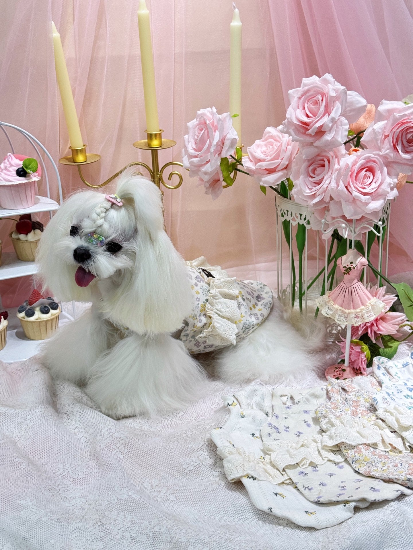 Floral Lace Ruffle Dress 碎花蕾絲蓬蓬裙