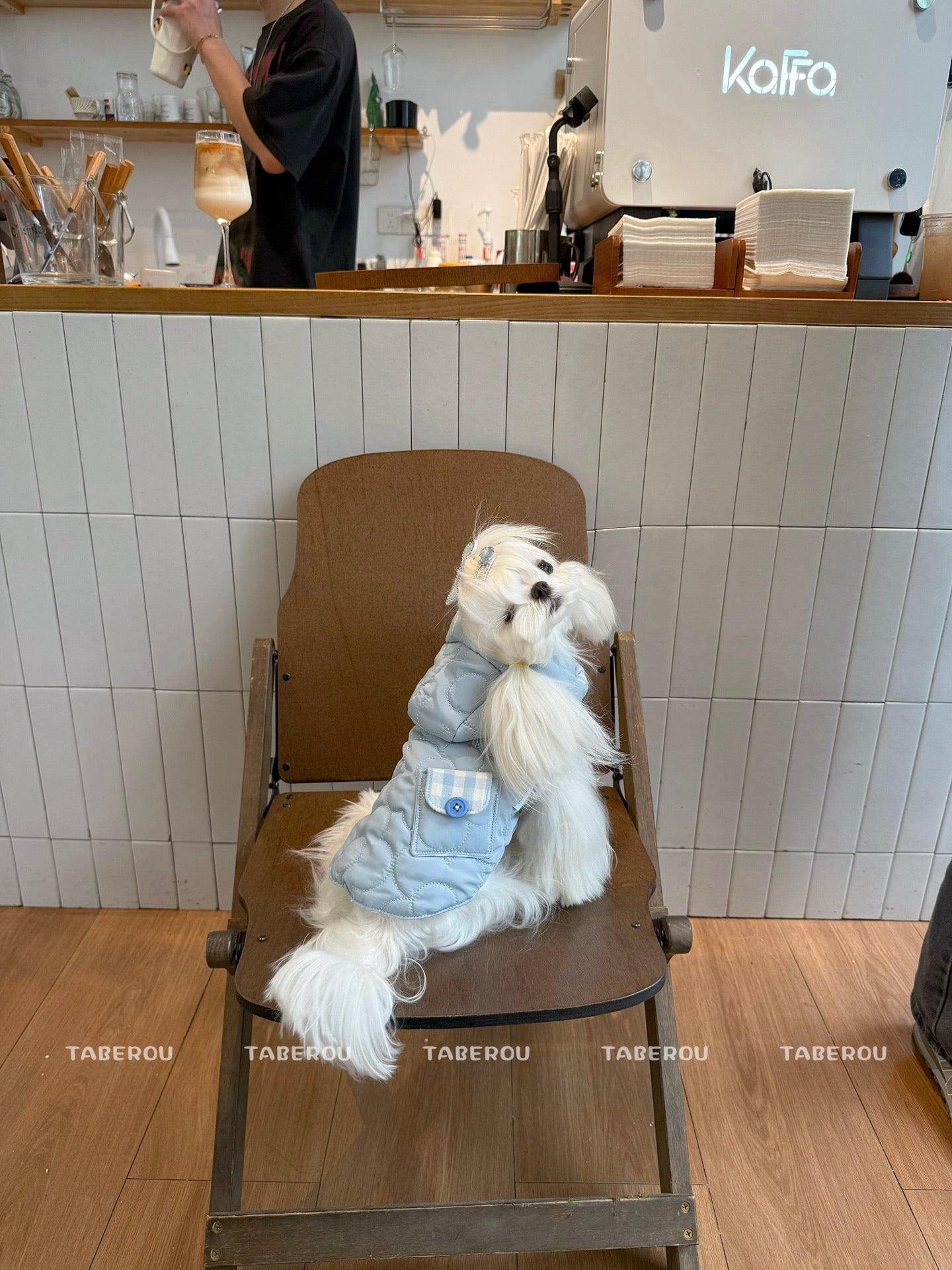 Cloud Puffer Vest 雲朵羽絨背心