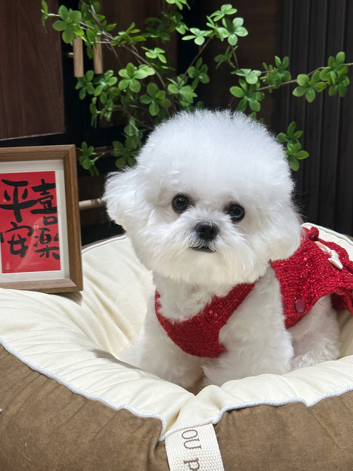 Christmas Red 小香風經典紅裙