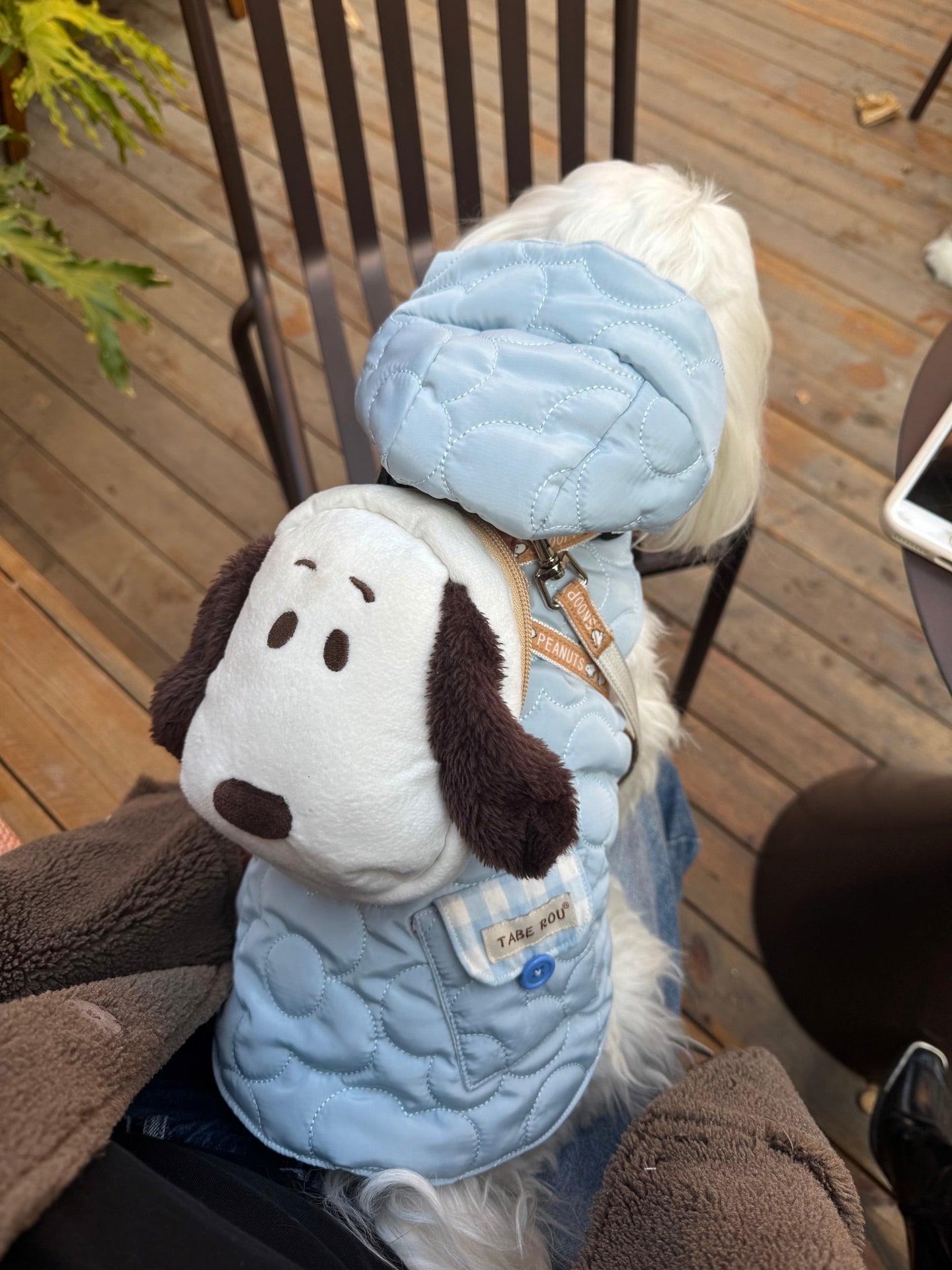 Cloud Puffer Vest 雲朵羽絨背心