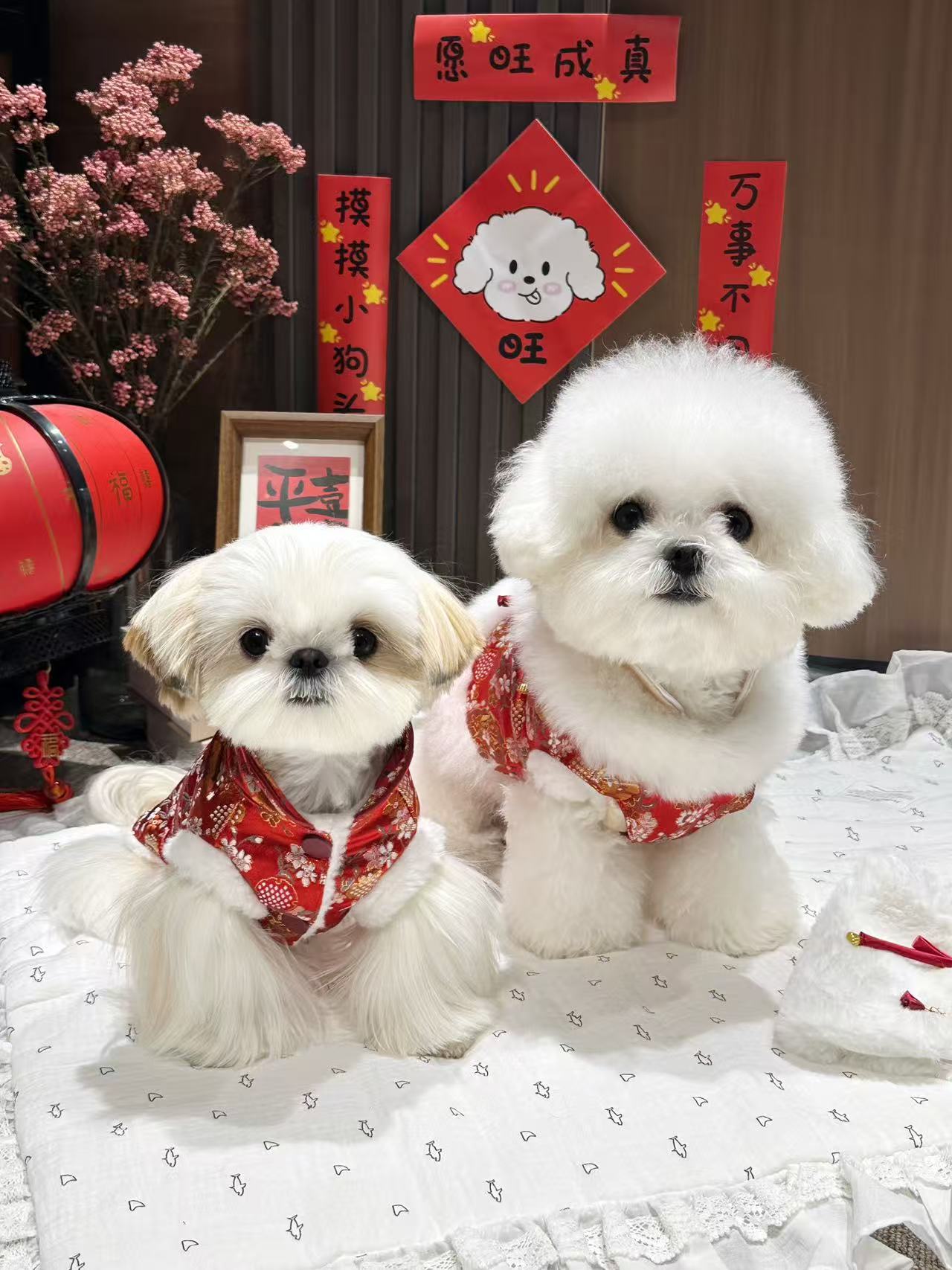 Lunar New Year Traditional Trio 新年傳統三寶