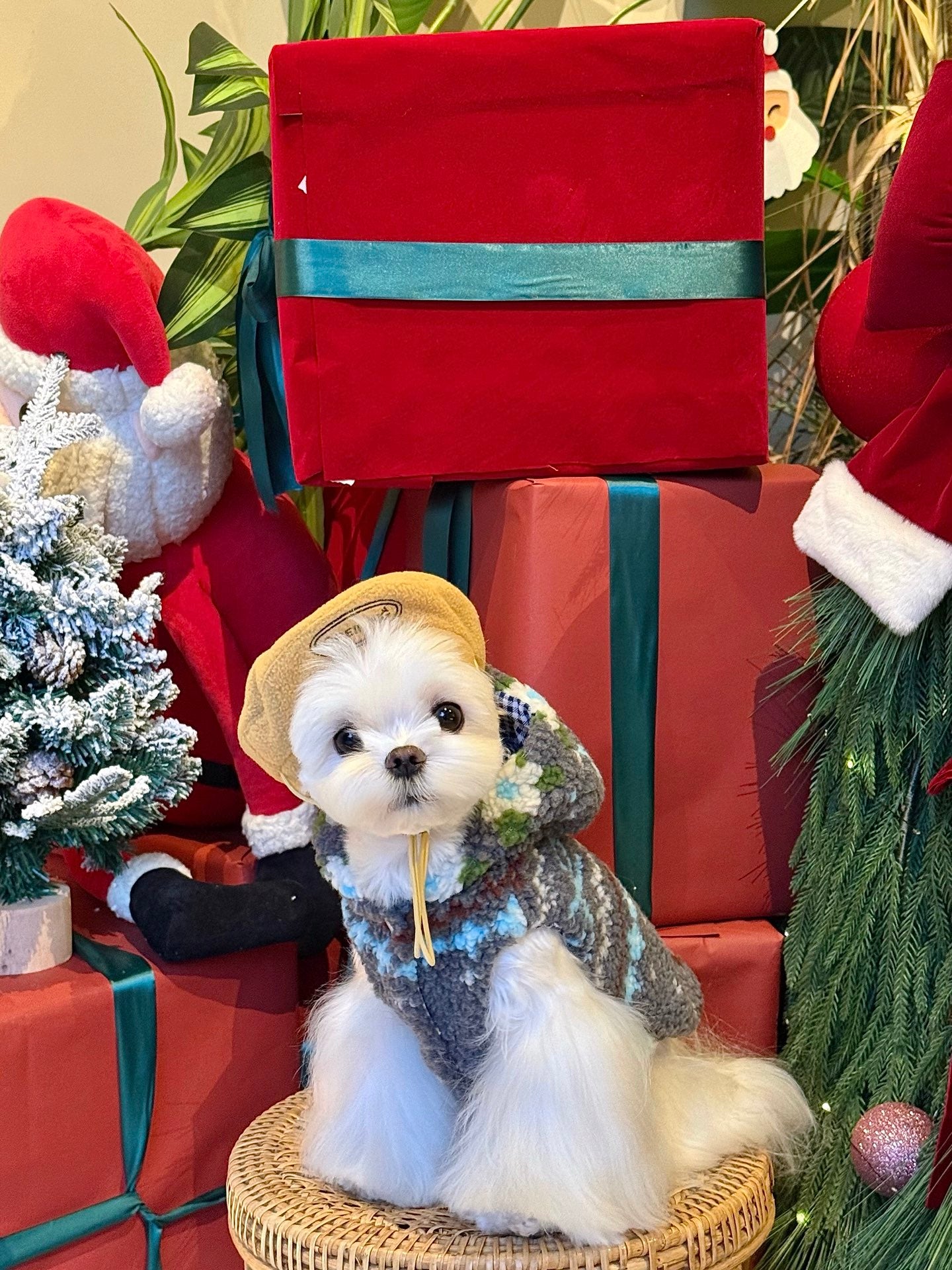 Ginger Cottage Fleece 薑餅小屋絨背心