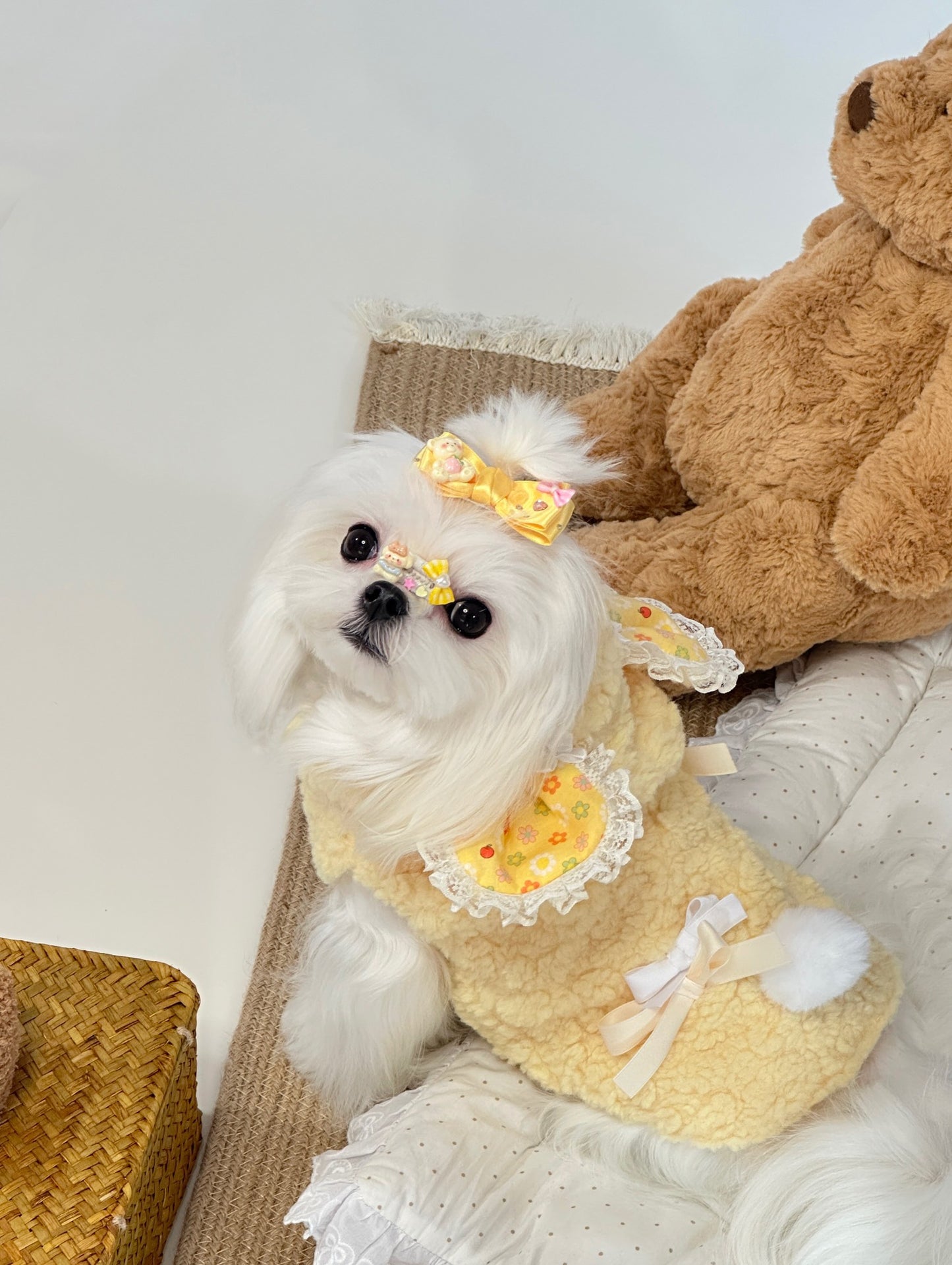 Cream Bunny Lamb Hoodie 奶油兔耳羊羔絨帽衣