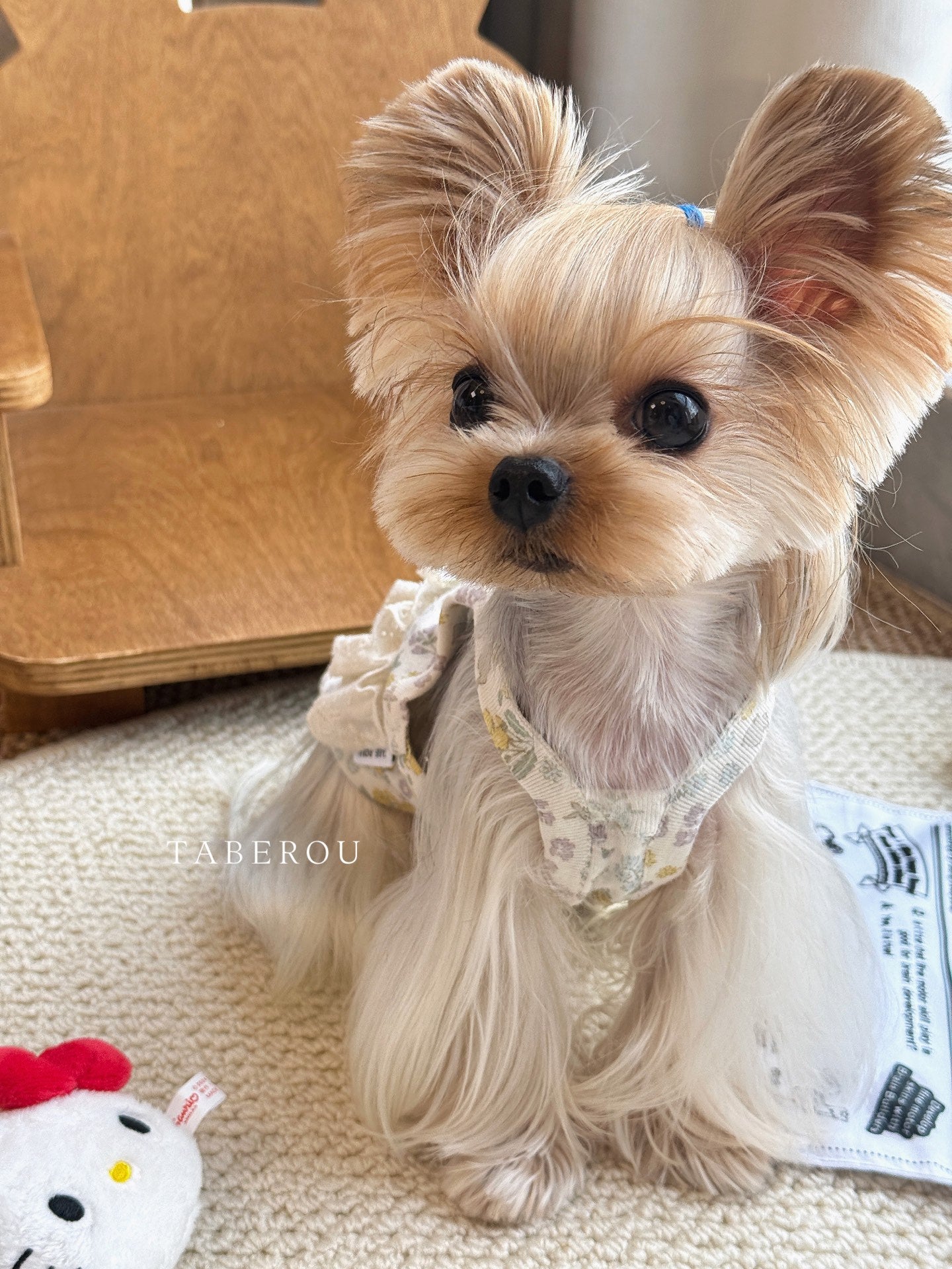 Floral Lace Ruffle Dress 碎花蕾絲蓬蓬裙