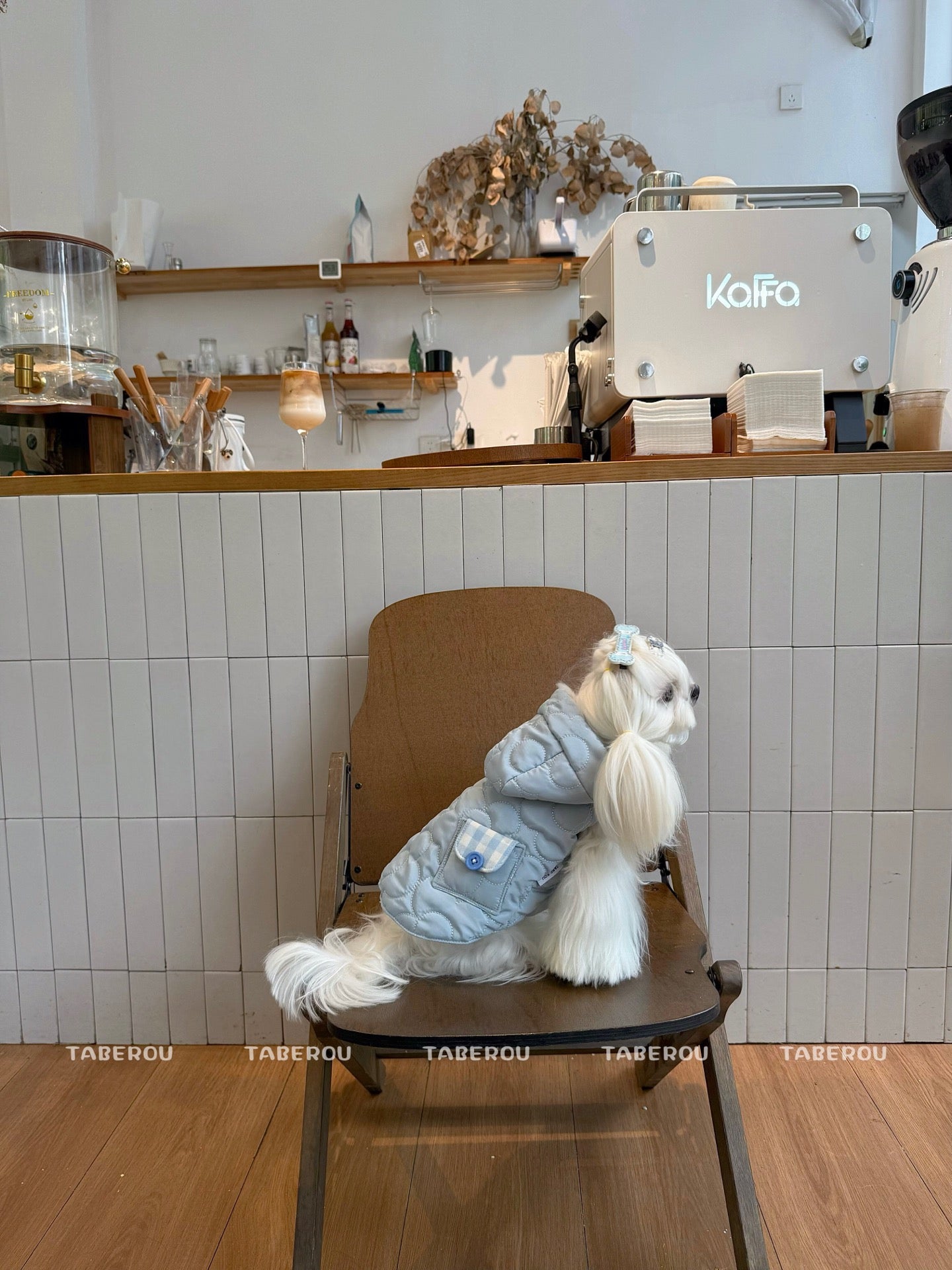 Cloud Puffer Vest 雲朵羽絨背心