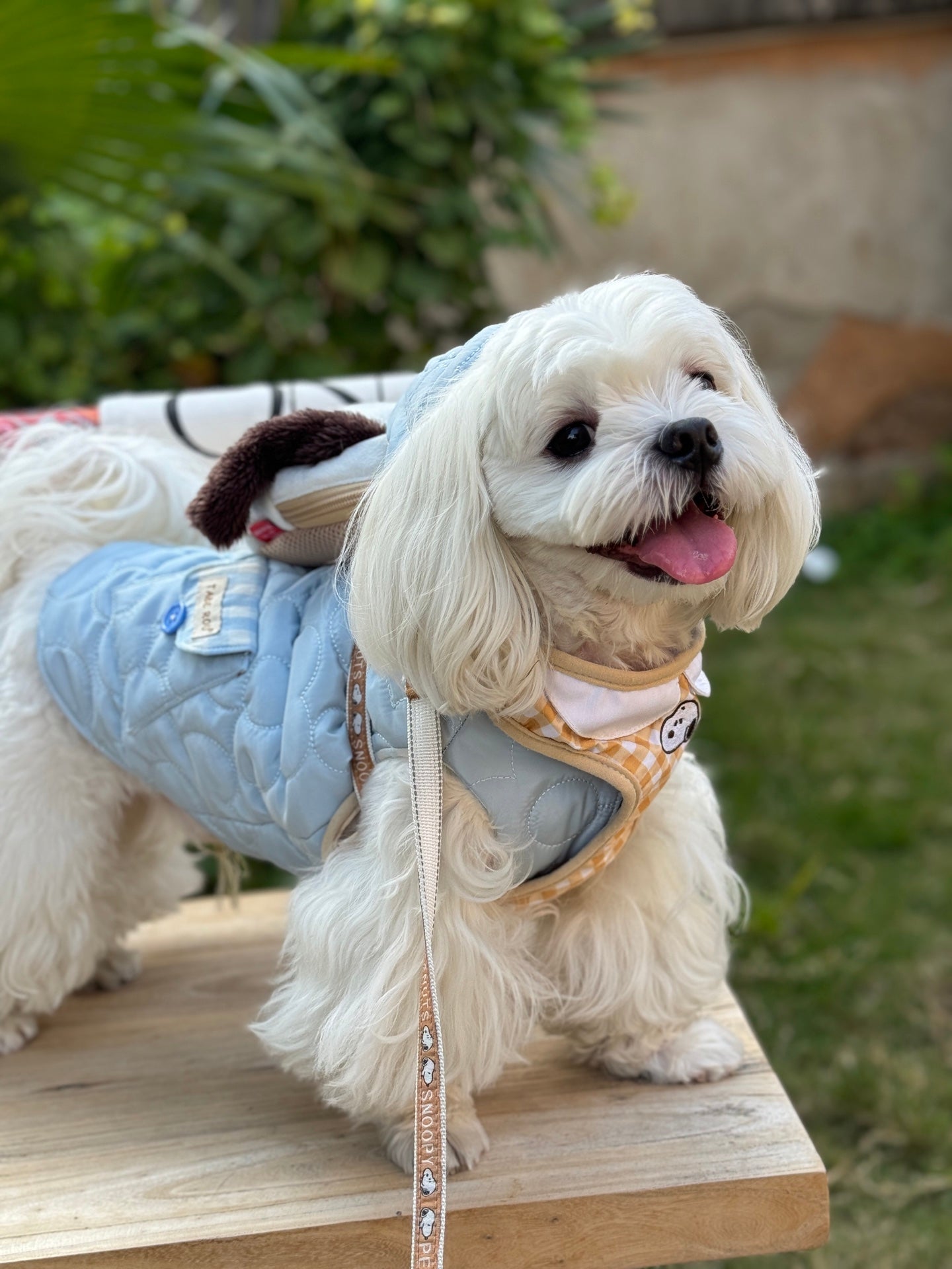 Cloud Puffer Vest 雲朵羽絨背心