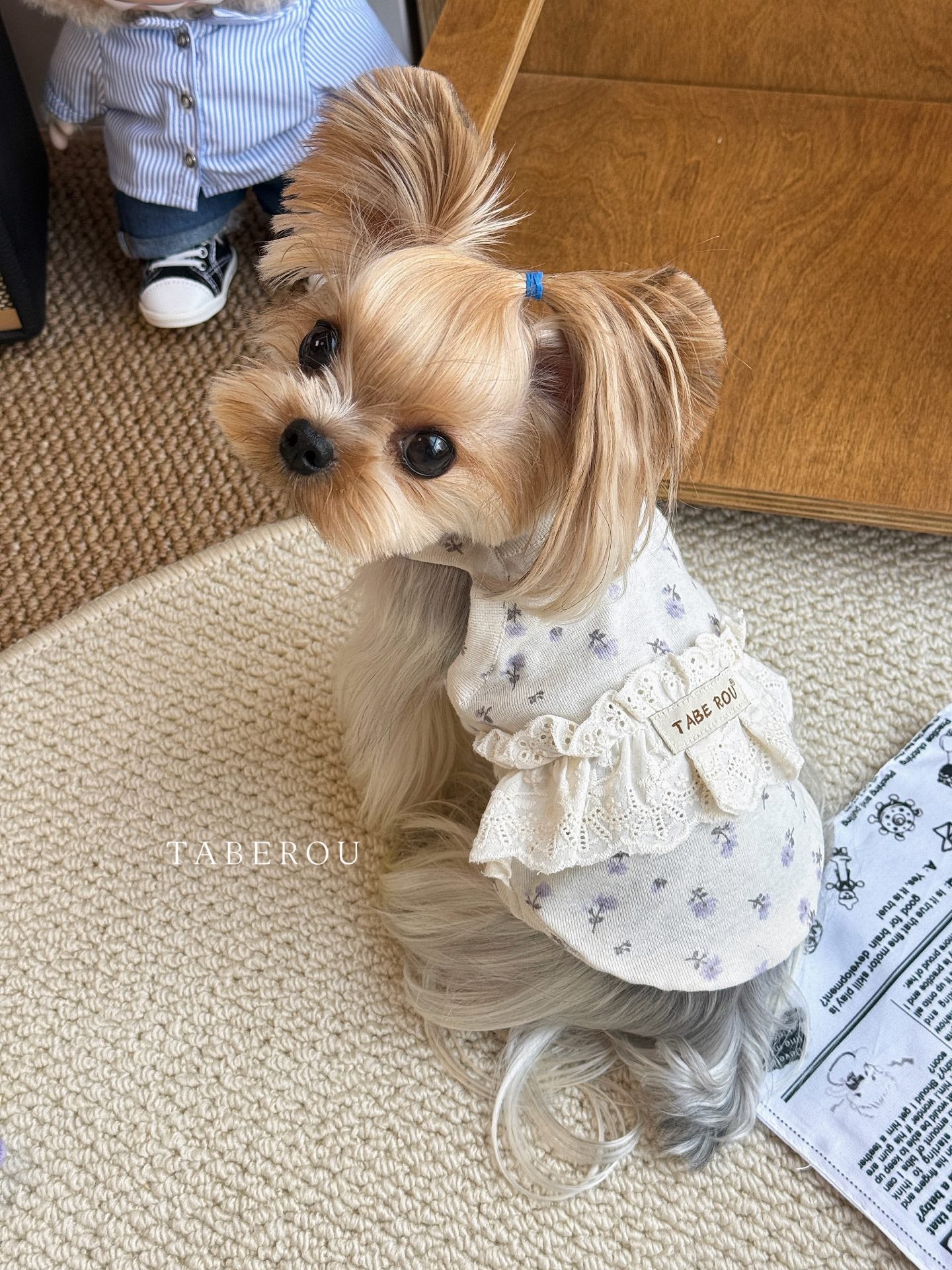 Floral Lace Ruffle Dress 碎花蕾絲蓬蓬裙