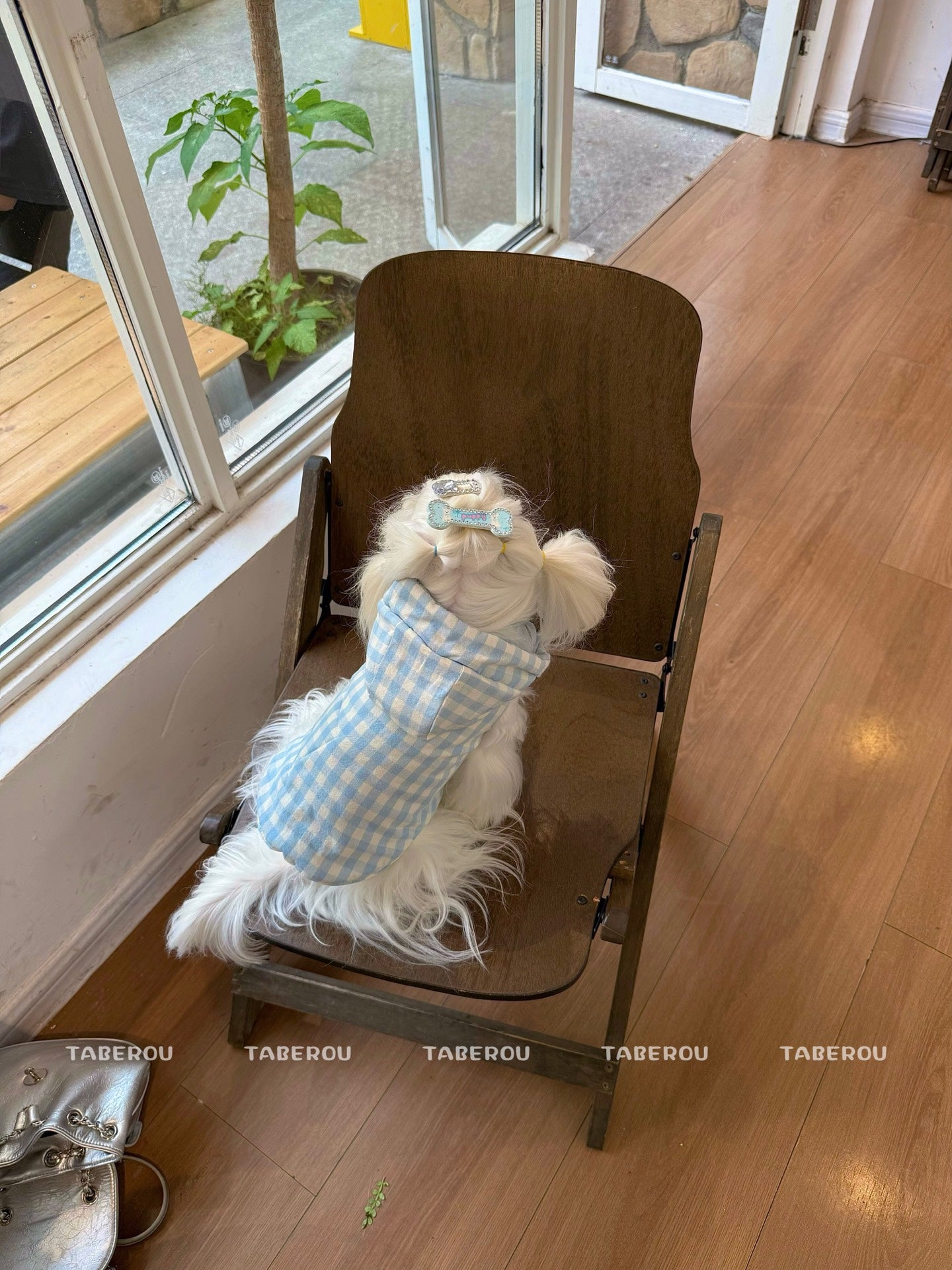 Cloud Puffer Vest 雲朵羽絨背心