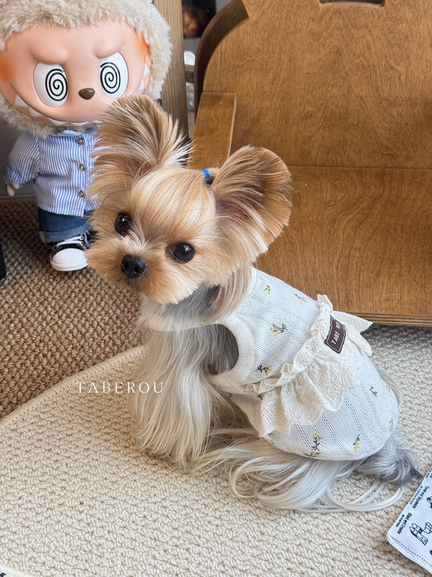 Floral Lace Ruffle Dress 碎花蕾絲蓬蓬裙