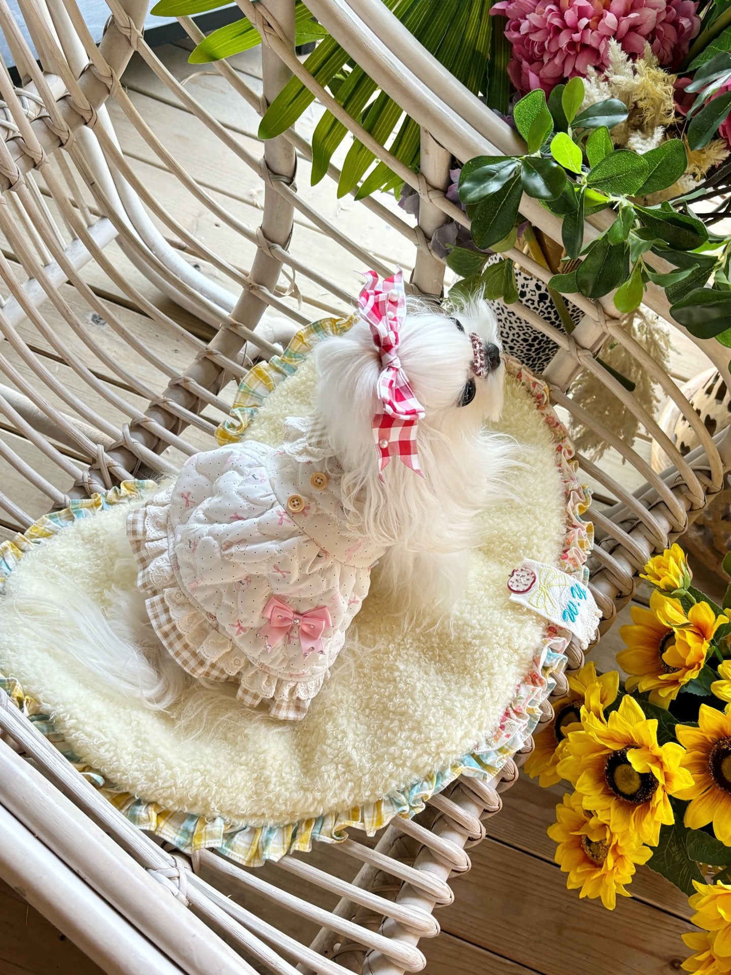 Teddy Lace Dress 熊熊棉裙