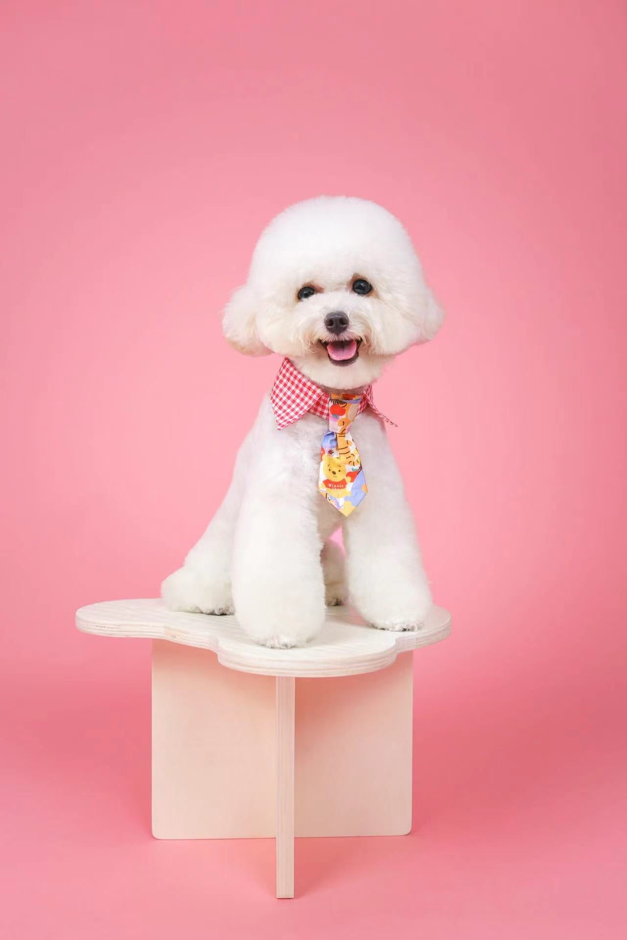 Cartoon Bowtie Collar 卡通小領帶