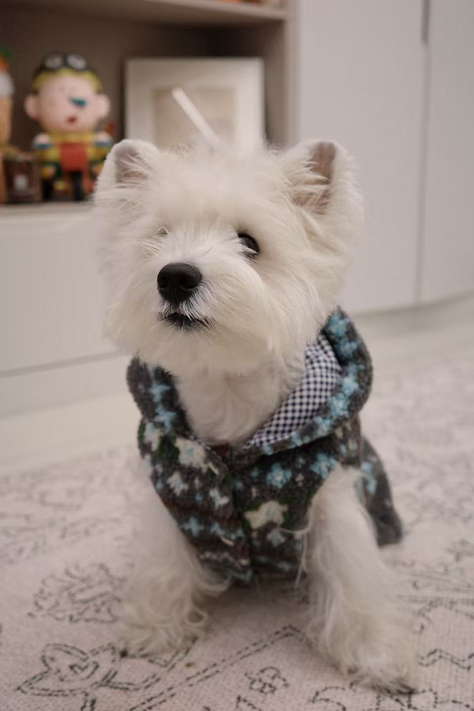 Ginger Cottage Fleece 薑餅小屋絨背心