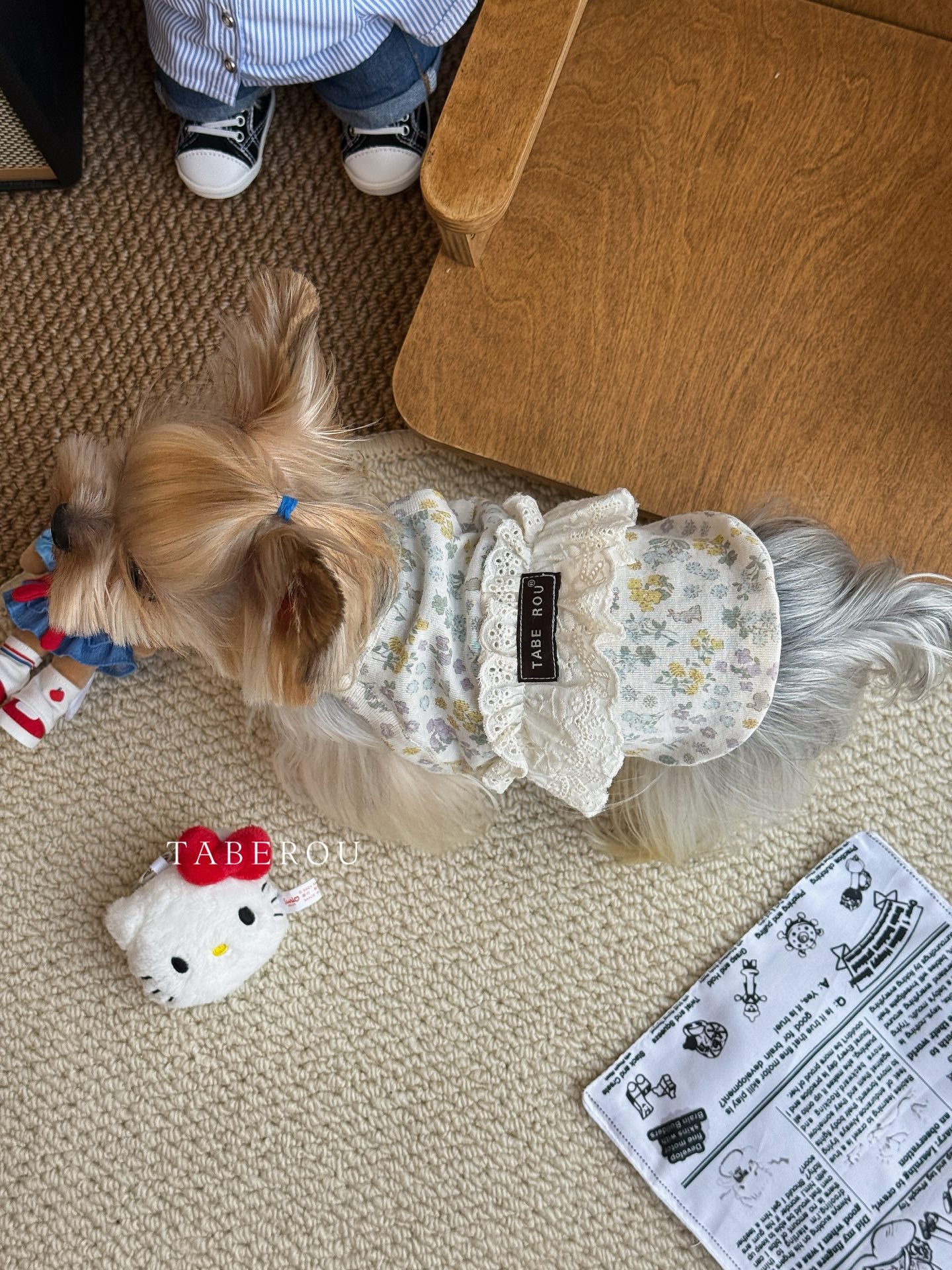 Floral Lace Ruffle Dress 碎花蕾絲蓬蓬裙