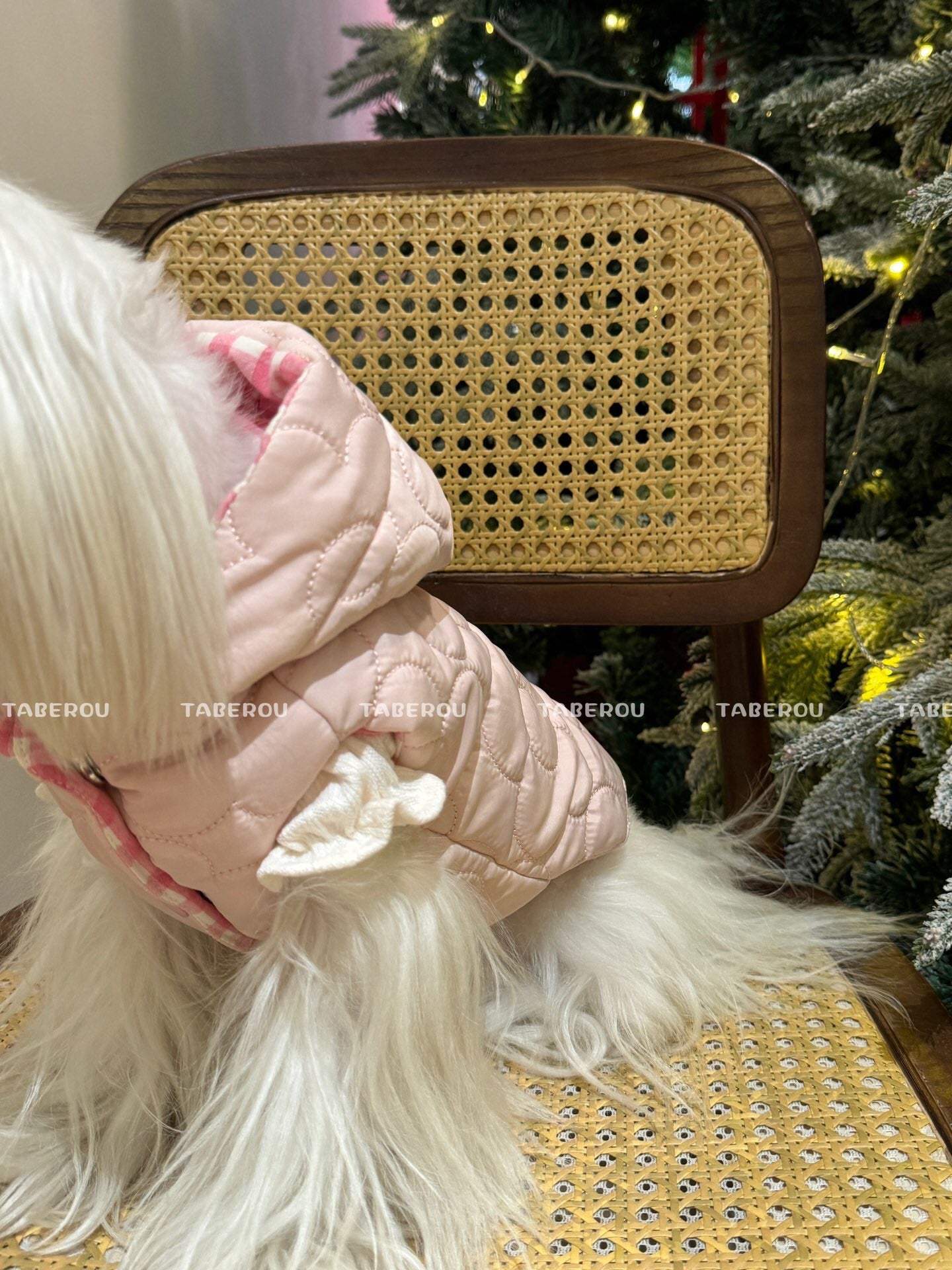 Cloud Puffer Vest 雲朵羽絨背心