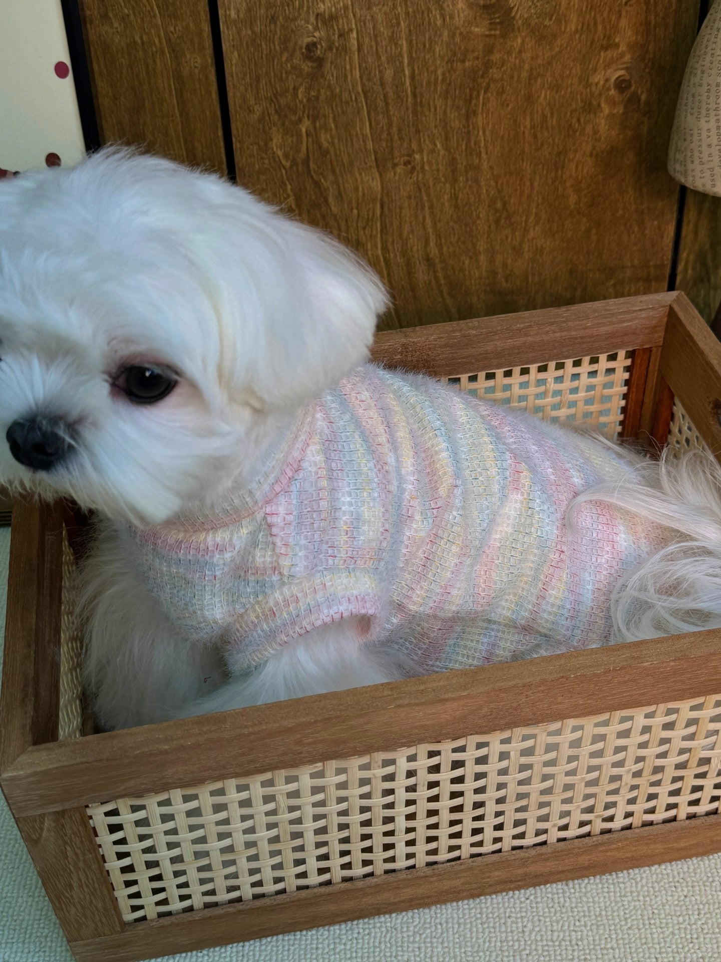 Rainbow Marshmallow Sweater 彩虹糖馬海毛衣