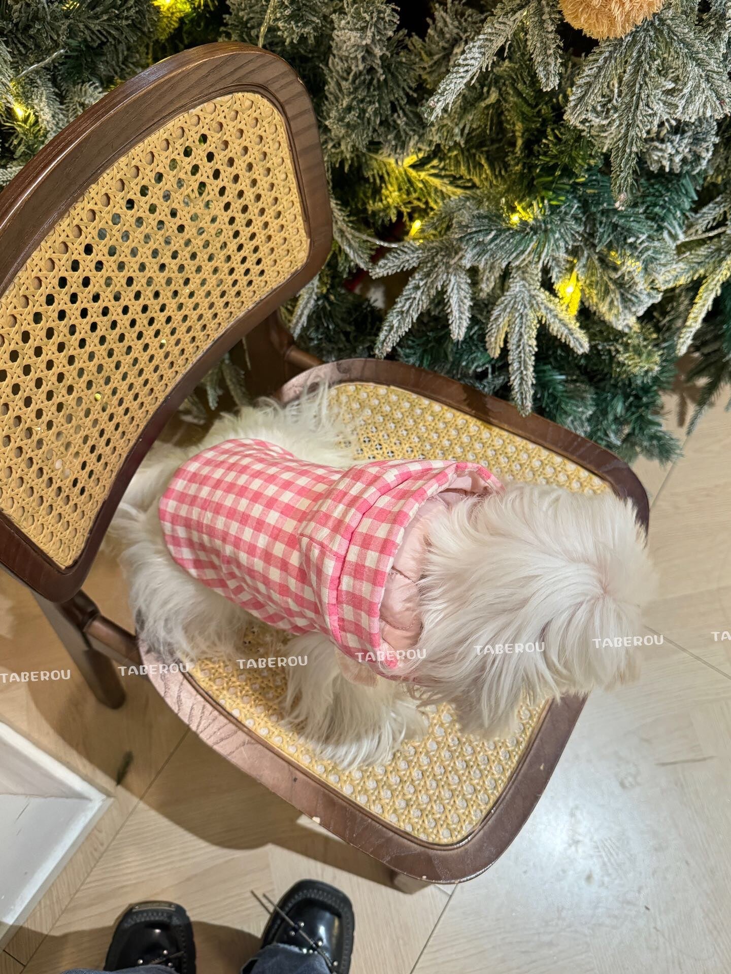 Cloud Puffer Vest 雲朵羽絨背心