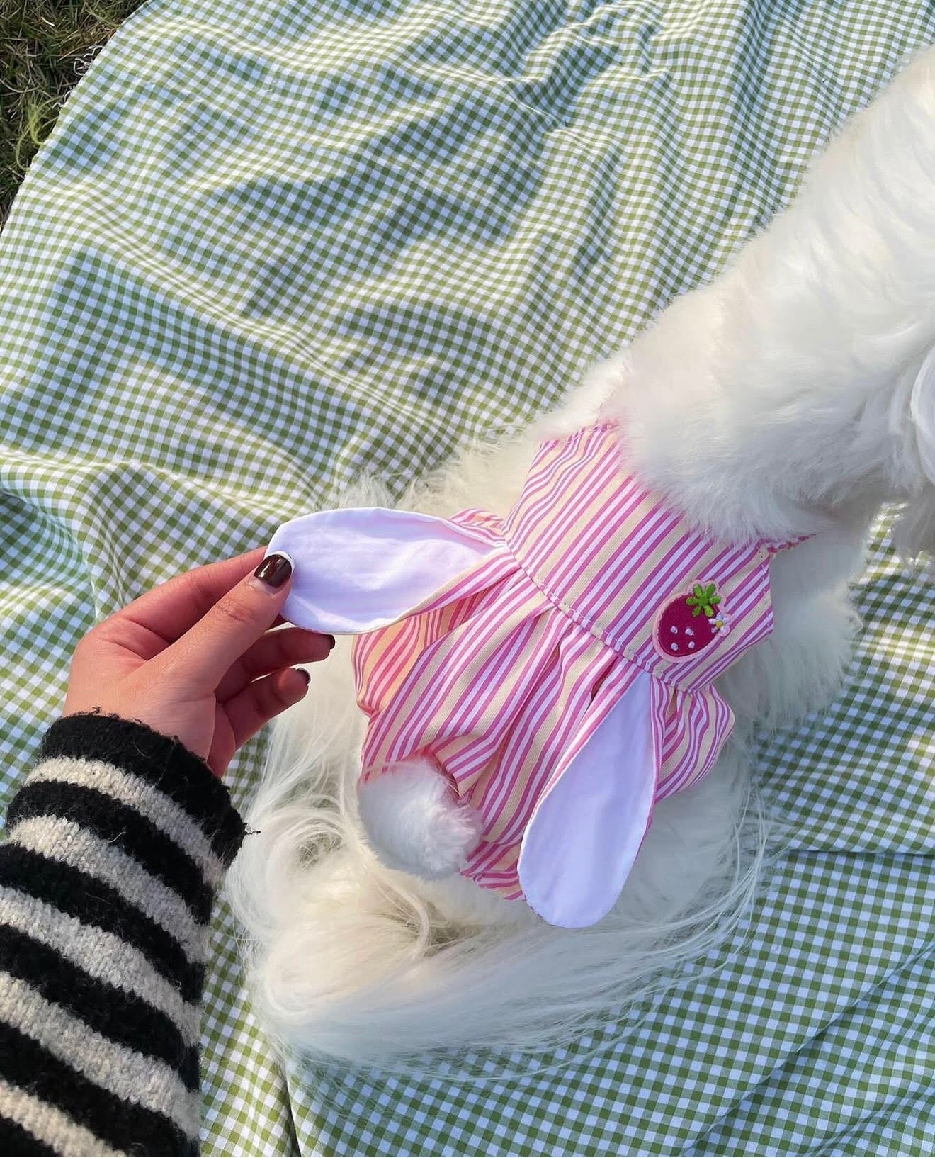 Strawberry Bunny Striped Dress 草莓兔兔條紋裙