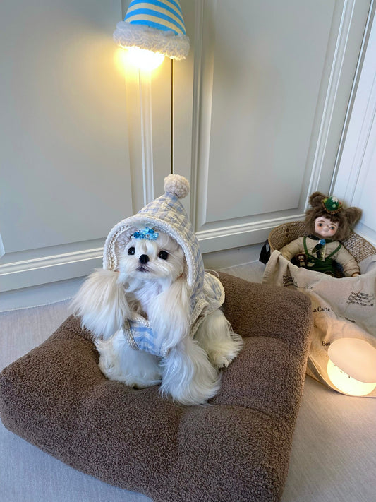 Blue Heart Hoodie 藍格愛心帽衣