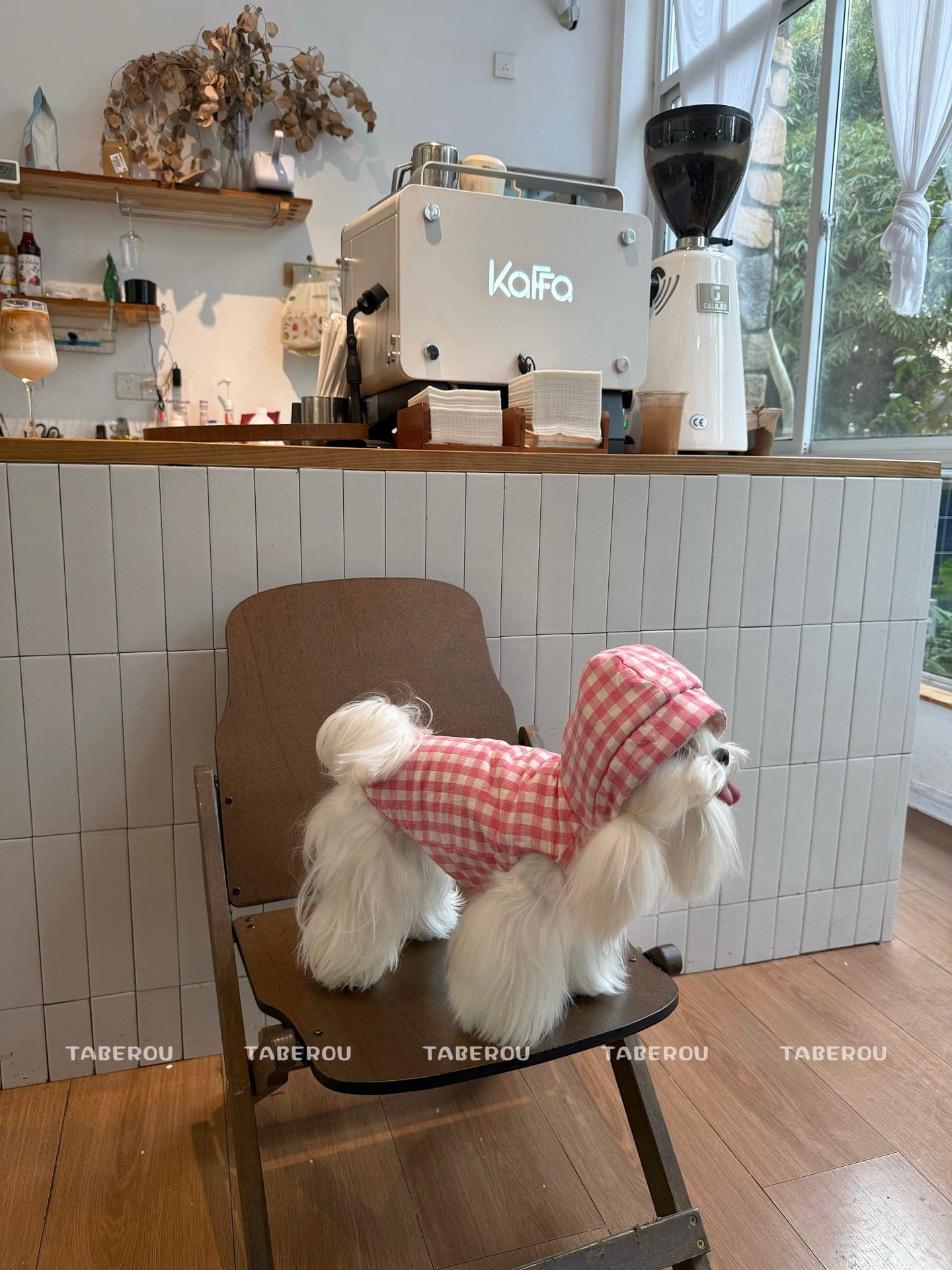 Cloud Puffer Vest 雲朵羽絨背心