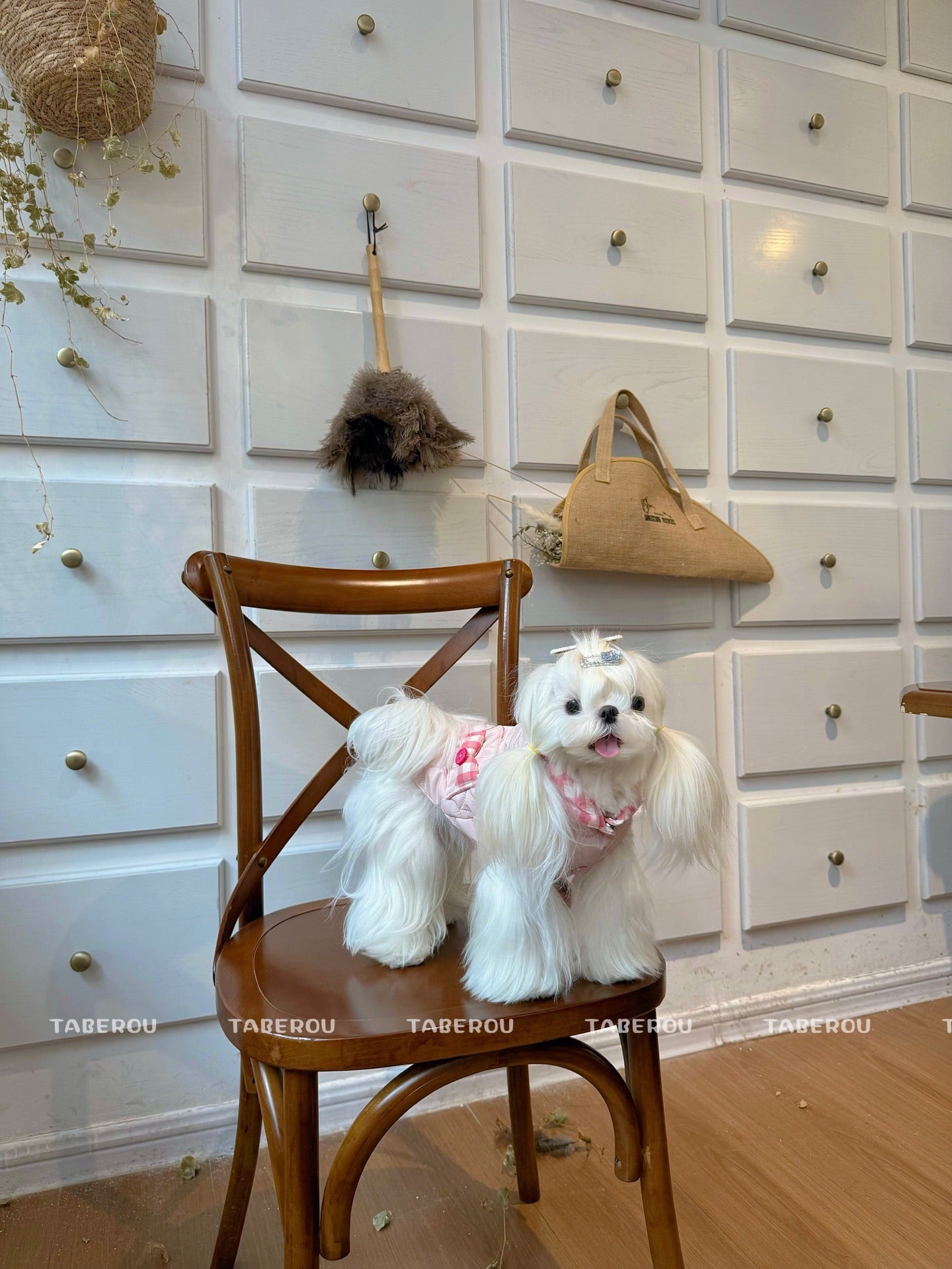 Cloud Puffer Vest 雲朵羽絨背心