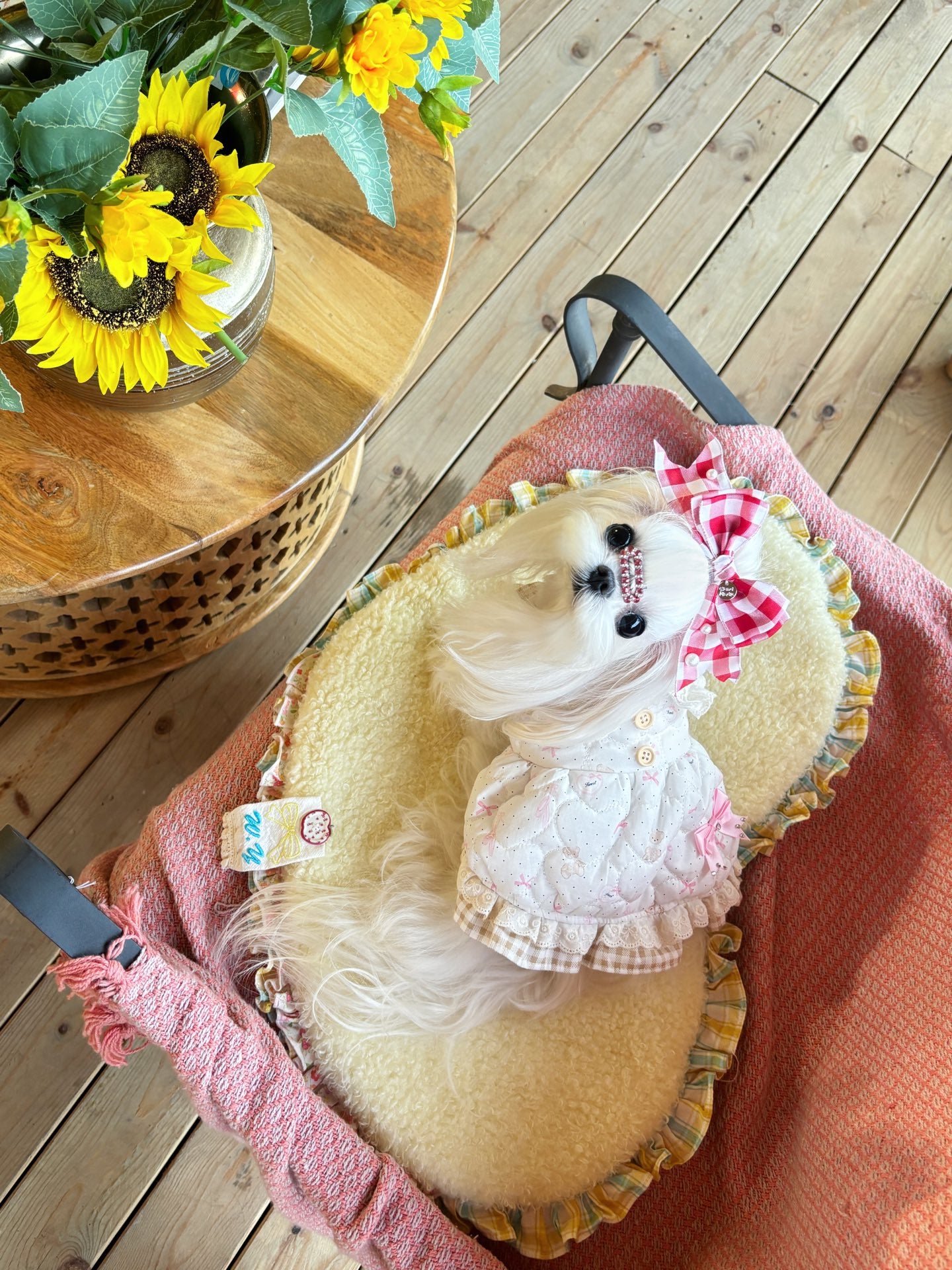 Teddy Lace Dress 熊熊棉裙