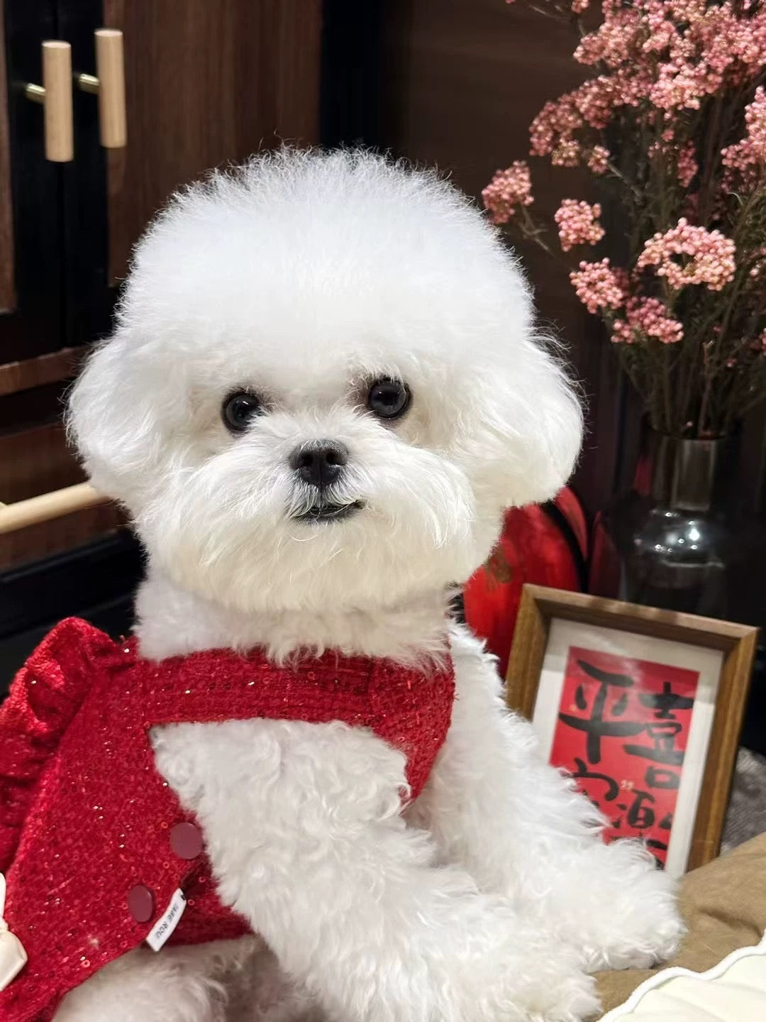 Christmas Red 小香風紅系列