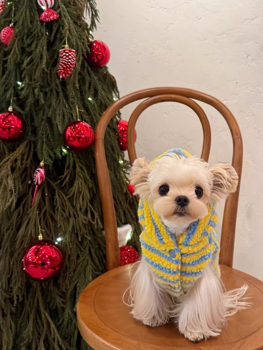 Striped Christmas Hoodie 條紋毛帽斗篷